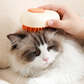 Pet Brush